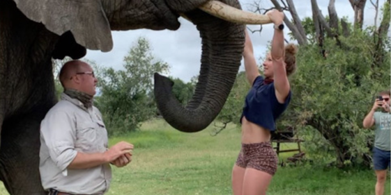 wildlife-karen-does-pullups-from-elephant-abuse-bellhook-south-africa