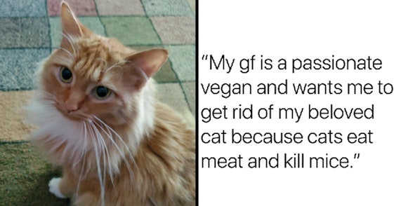 vegan girlfriend cat ultimatum