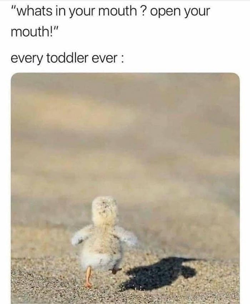 toddler meme, toddler memes
