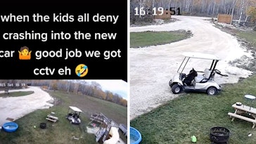 dog golf cart, dog driving golf cart